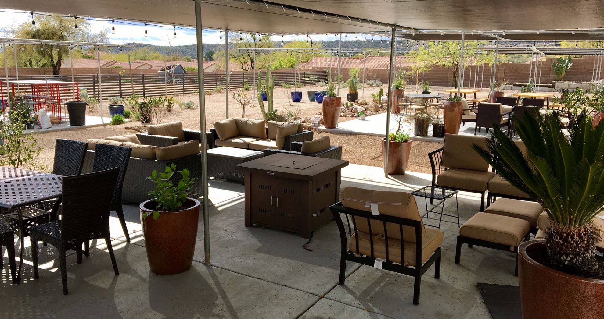 New craft beer and wine bar opens near Sabino Canyon